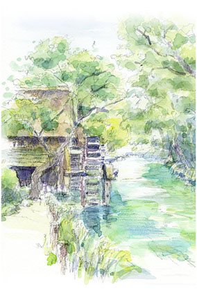 e5ae89e69b87e9878e1-e381aee382b3e38394e383bc1 e5ae89e69b87e9878e1-e381aee382b3e38394e383bc1