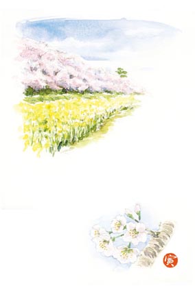 e6a8a9e78fbee5a082-e381aee382b3e38394e383bc